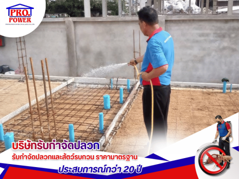 อัดน้ำยาลงดิน ฆ่าปลวก เห็นผลเร็ว สัตหีบ